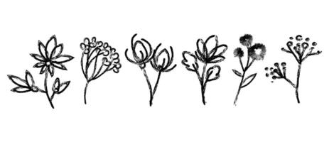 Abstract Hand drawn botanical elements ink drawing various flowers and plants set. Minimalist sketch style wild flowers and herbs, perfect for vintage and nature designs, print. illustration vector