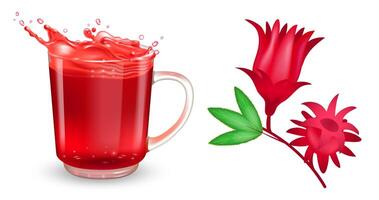 Set of red hibiscus flower and tea transparent cup with red hibiscus tea and splash. Realistic design elements. vector