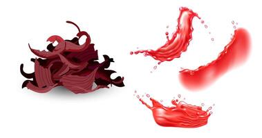 Set of dry hibiscus tea and red liquid splashes. Realistic design elements. vector