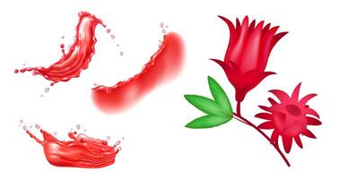Set of red hibiscus flower and red liquid splashes. Realistic design elements. vector