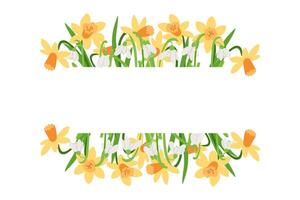 Floral banner illustration with yellow daffodils and delicate white snowdrops, creating a natural spring frame with space for text, perfect for invitations and seasonal designs. illustration vector