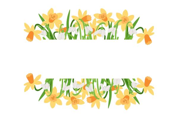 Floral banner illustration with yellow daffodils and delicate white snowdrops, creating a natural spring frame with space for text, perfect for invitations and seasonal designs. illustration