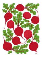 Colorful poster of fresh red beetroots with green leaves, including whole and sliced beets, arranged in a decorative pattern vector