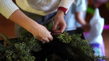 Decorator ties green coniferous branches to the frame of a Christmas wreath video