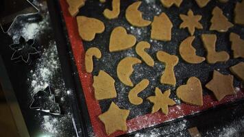 Gingerbread cookies of different shapes lie on a baking sheet on the table video