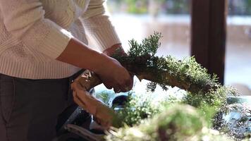 Decorator ties fir branches to the round frame of the New Year wreath video
