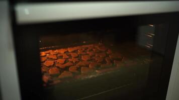 Christmas cookies of different shapes are baked on a baking sheet in the oven video