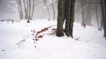 Snowman with a carrot nose and branches-hands stands in the park video