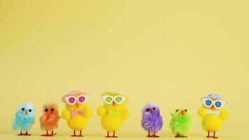 chickens easter stop motion animation yellow background with copy space video
