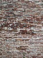 A brick wall with a tree in front of it photo