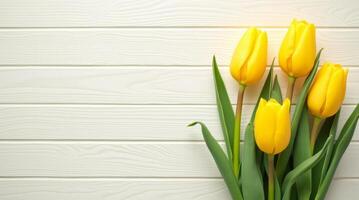 Yellow tulips with green leaves on white wooden background. Flat lay composition with copy space. Spring floral design for greeting card photo