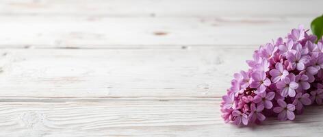 Lilac flowers with green leaves on white rustic wooden background, right side floral border. Flat lay with copy space photo
