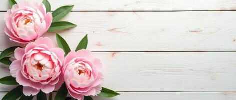 Pink peonies with green leaves on white wooden background, floral corner arrangement with copy space for text photo