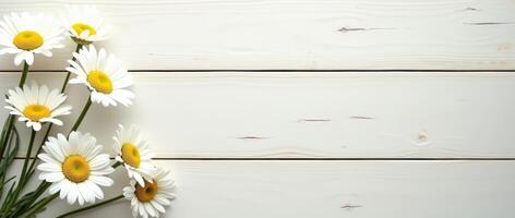 White daisies on light wooden background with copy space. Minimal floral composition for greeting card, invitation, or banner design photo