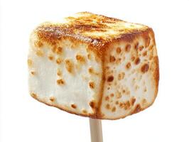 Perfectly toasted marshmallow on a stick ready for s'mores photo