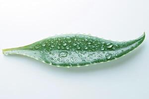 Dew drops shimmer on a fresh green aloe vera leaf photo