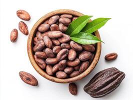 Cocoa beans harvested and displayed in a wooden bowl with leaves photo