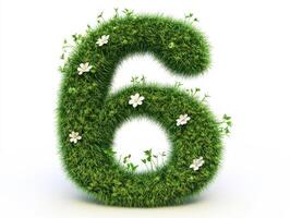 Grass number six adorned with flowers and greenery design photo
