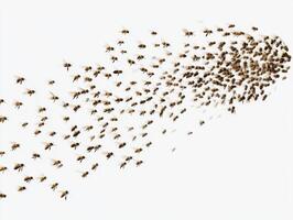 Swarm of bees flying in unison toward bright sky photo
