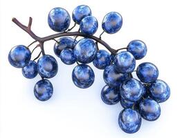 Cluster of realistic blue grapes on a slender stem photo