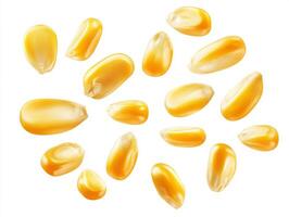 Yellow corn kernels arranged in various shapes on white background photo