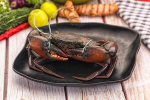 A crab on a plate with vegetables and spices photo
