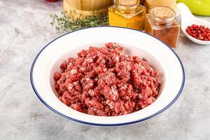 A bowl of ground beef with spices and herbs photo
