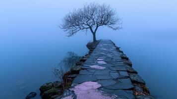 A stone path leads to a tree in the fog photo