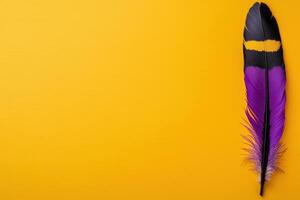 A vibrant feather on a yellow background photo