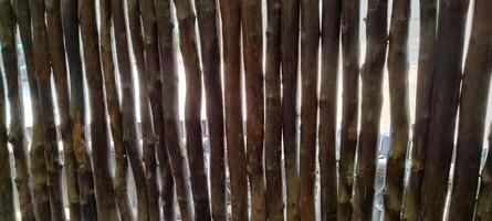 A rustic wooden fence made of vertical sticks, irregularly placed, allows glimpses of light and the world beyond. The natural textures and earthy tones create a raw, organic, and warm aesthetic. photo