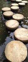 A series of large circular stepping stones create a scenic path across a dark water pond. Leaves float on the surface, and reflections of trees add depth, enhancing the tranquil and natural ambiance. photo