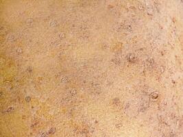 Potato macro photo as background. Food photo, potato texture.