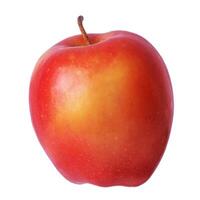 Red with yellow color ripe apple isolate on white. Fruit, apple photo