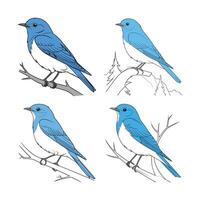 Set of Vivid Mountain Bluebird Artwork. Concept of Bird Design. vector