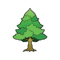Distinct Juniper Tree Outline Art. Cartoon Art Tree Illustration. vector