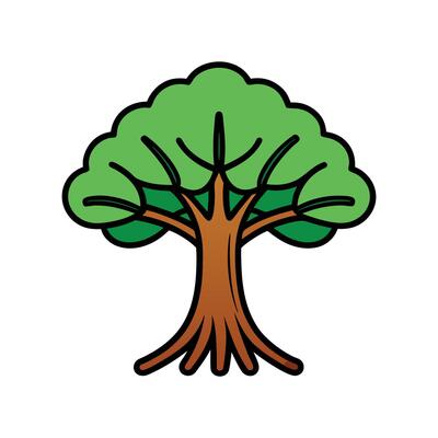 Distinct Mangrove Tree Outline Art. Cartoon Art Tree Illustration.