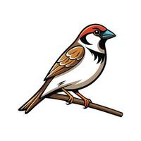 Distinct Sparrow on a Branch Outline Art. Cartoon Art Tree Illustration. vector