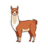 Charming Alpaca with Outline Realistic Illustration vector