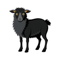 Charming Black Welsh Mountain Sheep Realistic Color Illustration vector