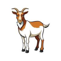 Stunning Boer Goat Realistic Color Illustration with Outline vector