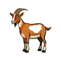 Charming Boer Goat with Outline Realistic Color Illustration vector