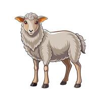 Charming Border Leicester Sheep Realistic Color Illustration vector