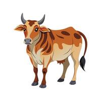Beautiful Brahman Cow Realistic Color Illustration vector