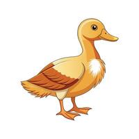Beautiful Buff Orpington Duck Realistic Color Illustration vector