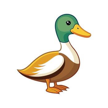 Charming Call Duck Realistic Color Illustration with Outline vector