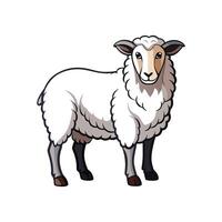 Charming Cheviot Sheep Realistic Color Illustration vector