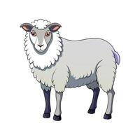 Lovely Cheviot Sheep Realistic Color Illustration vector