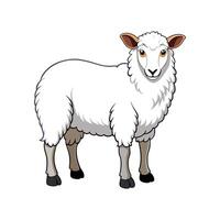 Vivid Cheviot Sheep Realistic Color Illustration. vector
