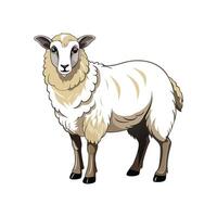 Vivid Cheviot Sheep Realistic Color Illustration vector