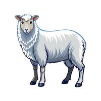 Charming Cheviot Sheep Colorful Realistic Illustration vector